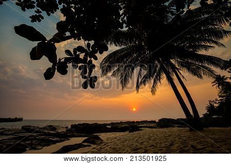 Tropical Landscape Of Koh Kood