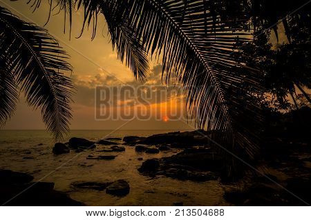 Tropical Landscape Of Koh Kood