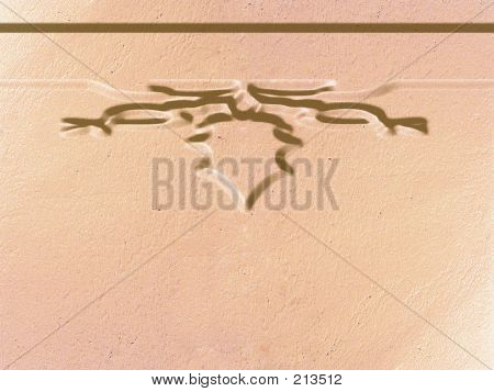 스크롤된 고안