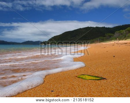 Foam On Totaranui Beach Abel Tasman Np