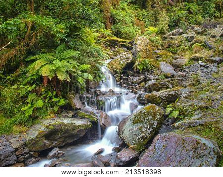 Overview Of Waterfall In Temperate New Zealand Rain Forest