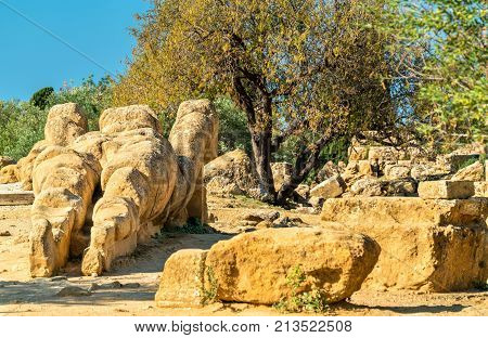 Fallen statue of Atlas at the Temple of Olympian Zeus in the Valley of Temples near Agrigento, Sicily - Italy