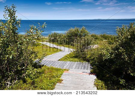 Tundra vegetation and wooden walkway on the Bolshoi Zayatsky Island Solovetsky Archipelago Northern Russia