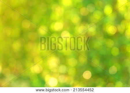 Natural green blur background in sunlight ,Abstract round bokeh from green leaves, blurred background