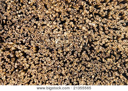 Reed Thatch részlete