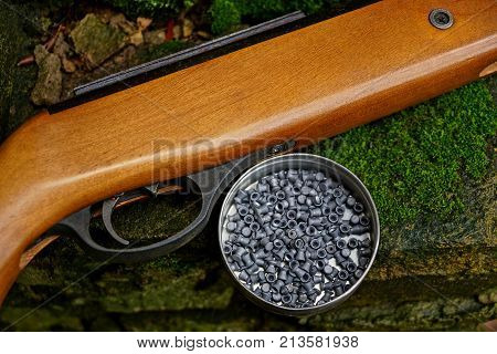 part of an air rifle and bullets in a box on stones covered with moss