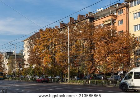 SOFIA, BULGARIA - NOVEMBER 7, 2017: Autumn Sunset Tsarigradsko Shosse boulevard, Sofia, Bulgaria
