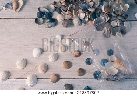 The packaging and sale of marine Souvenirs, a small business, a set of different sea shells on a wooden white background.