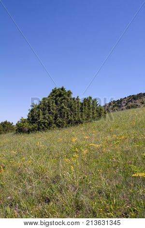 beautiful nature. Mountains in Kazakhstan . In the park in nature