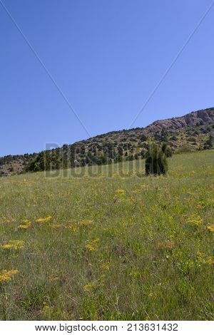 beautiful nature. Mountains in Kazakhstan . In the park in nature