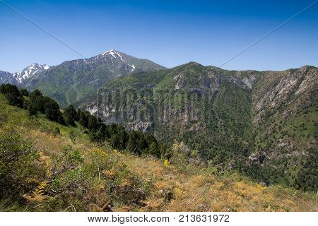 beautiful nature. Mountains in Kazakhstan . In the park in nature