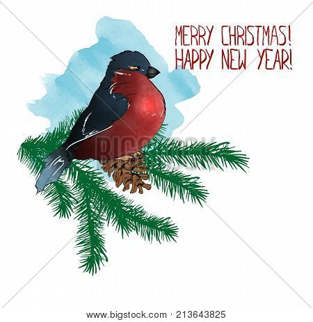 Vector Illustration In Watercolor Style. Bullfinch On A Spruce Branch With A Cone. Merry Christmas A