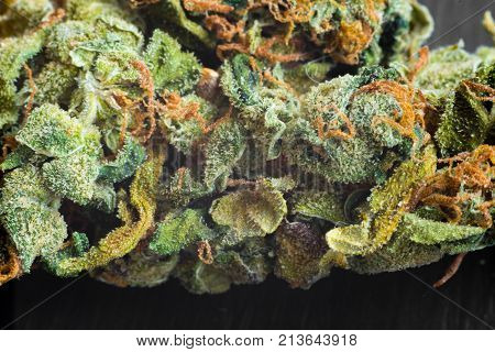 Macro photos of marijuana cones with leaves covered with trichomes. The cannabis plant clse view.