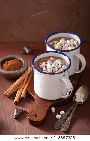 hot chocolate with mini marshmallows cinnamon winter drink