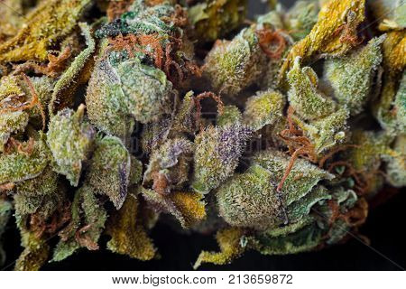Macro photos of marijuana cones with leaves covered with trichomes. The cannabis plant clse view.