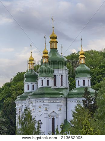 Golden domes of the Vydubycky monastery are surrounded by trees. Kiev Ukraine