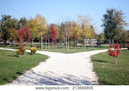 Colorful trees in the park - fall season