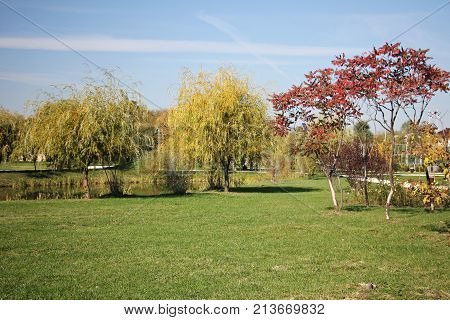 Colorful trees in the park - fall season