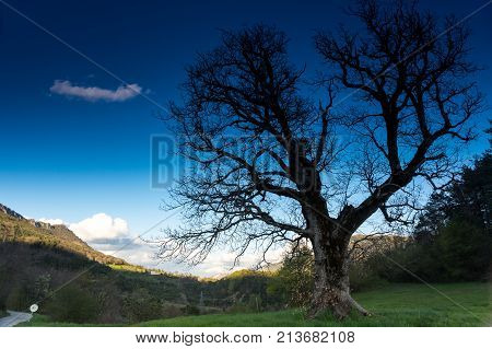 Mountains of Regional nature park of the Azure PreAlps France