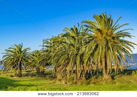 Waterfront Park, Montevideo, Uruguay