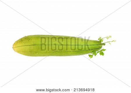 Fresh ridge gourd Luffa isolated on white background