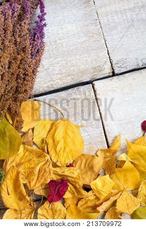 Colorful autumn leaves on old wooden table