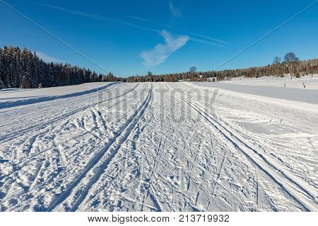 Winter landscape. Walk in winter woods. Snow world. The track for cross-country skiing. Beautiful and unusual roads and forest trails. The snowy forest. Tourism concept. Bodycopy space.