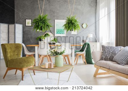 Living Room Interior With Ferns