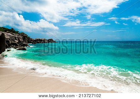 the pathway for an amazing natural beach tropical landscape 