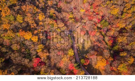 Autumn Of Naejangsan National Park,south Korea