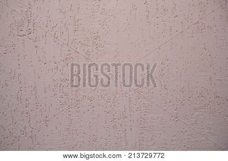 the background is made of a texture of Venetian plaster of pink color. Style bark beetle with a relief surface