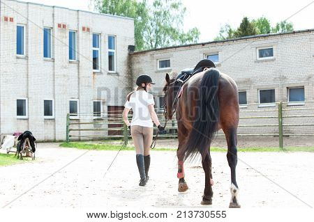 Young teenage girl equestrian leading her brown horse ito stable. View from backside. Multicolored vibrant outdoors horizontal summertime image with slightly vintage filter.
