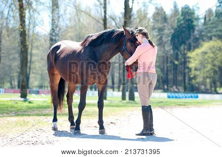Young teenage girl owner hugging her favorite chestnut horse. Colored outdoor horizontal springtime image.