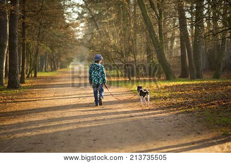 Boy 10-11 years walking the dog in autumn Park. He is holding the leash of a black-and-white cute dog.