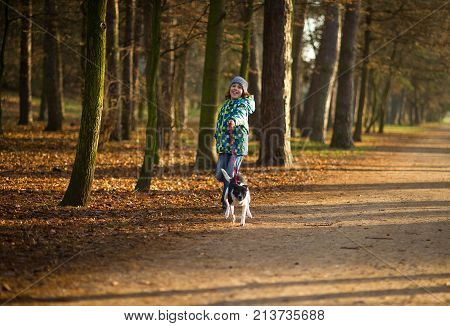 Boy 10-11 years walking the dog in autumn Park. He is holding the leash of a black-and-white cute dog.