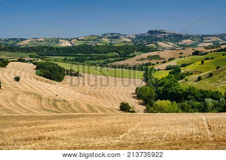 Rural landscape at summer along the road from Fermo to Monterubbiano (Marches italy)