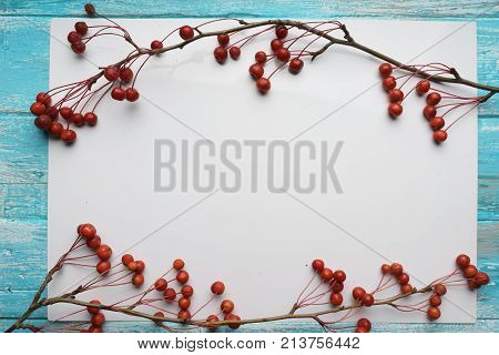 White background with branches with small apples,  close-up, Top view