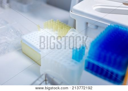 Working chaos. The beige and transparent stands holding new blood samples and standing on the table while white container placed behind them