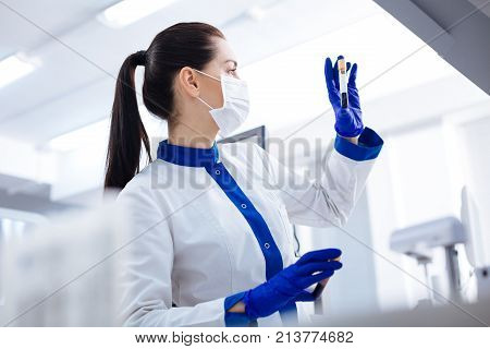 Waiting for reaction. Budding  attentive immature female laboratorian  turning head in profile while bringing up vial with blood and waiting for results