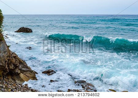 Seascape. Wave and foam. The sea is green. Adriatic Sea