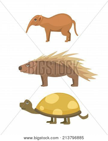 African animals .Turtle Cartoon Vector Illustration isolated.