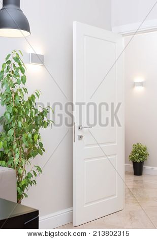 Interior of modern apartment decorated with potted plants. Open white door and wall lamp