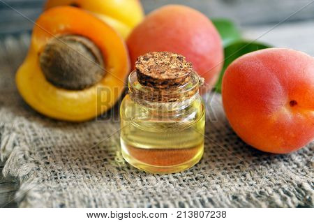 The apricot kernel oi in a glass jar and fresh ripe apricots on old wooden background. Essential apricot oil for spa,beauty treatment, aromatherapy and bodycare.
Selective focus.