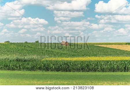 alone abandoned old house in agriculture fields. nature agricultural landscape with seedlings plants