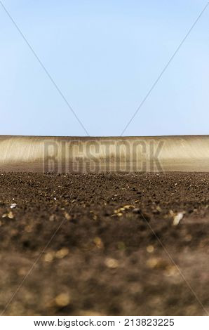 agriculture arable land field with sky clouds. agricultural landscape