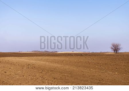 agriculture arable land field. natural outdoor agro landscape