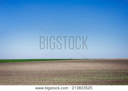 agriculture arable land field. natural outdoor agro landscape