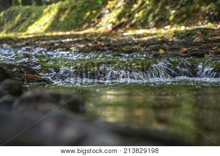 nature stream of water close up from low angle
