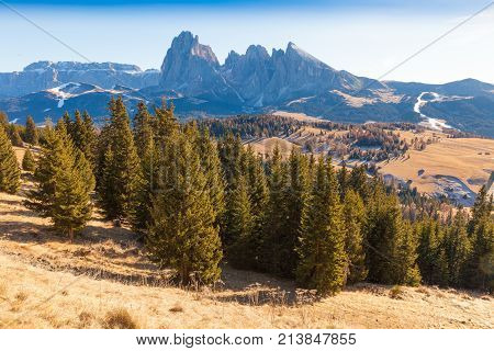 December 2015 Siusi Alp in Italy - This is the path to reach the Siusi Alp Gondola in the north of Italy to go down in the valley.