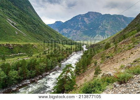 Valley Of Chulcha River. Altai Republic. Russia